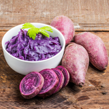 Purple Sweet Potato Slips, 10 Pack Live Plant Starts for Outdoor Vegetable Garden