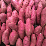Sweet Potato Starter Plant in 4 Inch Pot, 4-6 Inches Tall Garden Vegetable for Patio and Raised Beds