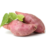 Sweet Potato Starter Plant in 4 Inch Pot, 4-6 Inches Tall Garden Vegetable for Patio and Raised Beds