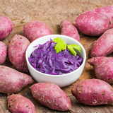 Live Purple Sweet Potato Slips, Set of 10 Plants for Home Garden and Patio Containers