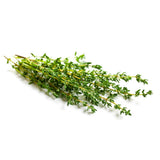 Thyme Live Plant, Indoor Outdoor Herb Plant, 5-8 Inch Tall