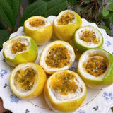 Set 2 Yellow Passion Fruit Plants Live, Fast-Growing Passionfruit Vine Live Plants Tree for Full Sun Growing, Summer Planting, 4-7 Inches, No Pot, Hardy Tropical Trellis Planting