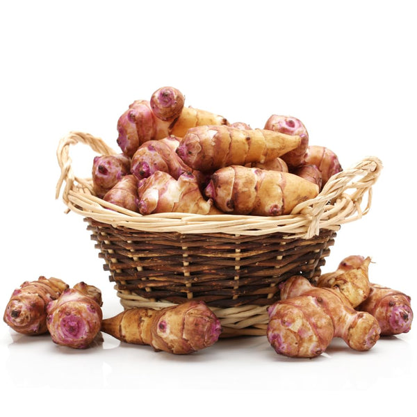 2 Lb Live Jerusalem Artichoke Tubers, Home Garden Plant