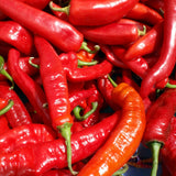 Pepper Plant Live, Chili Plant, 6-9 Inch Tall, 4 Inch Pot