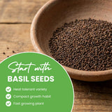 500 Basil Seeds for Planting, Container Garden Seeds