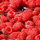 2 Red Live Raspberry Plants, 4-6 Inch Tall, 4 Inch Pot
