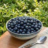 Huckleberry Live Plant, Edible Berry Plant, 3-5 Inch Tall, 4 Inch Pot