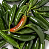 Green Serrano Pepper Plants Live, Seedling Plant, 4-7 Inch Tall, 4 Inch Pot