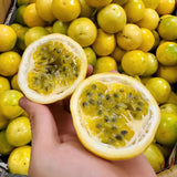 Yellow Passionfruit Plant Live, Passion Fruit Vine Plant, 4-6'' Tall