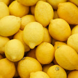 Yellow Meyer Lemon Live Tree, Citrus Fruit Tree, 2 Ft Tall, 1 Gallon Pot