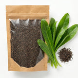 1000 Culantro Seeds, Raised Bed Garden Seeds