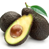 HASS Avocado Tree Live Plant, Landscape Fruit Tree, 5-7 Inch Tall