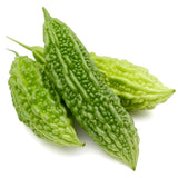 Green Bitter Melon Live Plant, Edible Vine, 4-6 Inch Tall, 4 Inch Pot