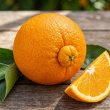 Orange Tree Live, Hardy Garden Plant, 1 Gallon Pot