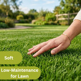 10000 Zoysia Grass Seeds for Lawn, Emerald Zoysia Grass Seed
