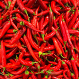 Red Pepper Plant Live, 4 Inch Pot