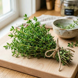 Thyme Live Plant, Indoor Outdoor Herb Plant, 5-8 Inch Tall