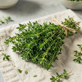 Live Thyme Plant, Indoor Outdoor Herb Plant, 5-8 Inch Tall