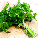 Parsley Herb Live Plants, Well-Rooted Herb Plant, 4-6 Inch Tall