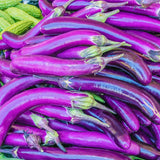 Purple Eggplant Live Plant, 4 Inch Pot