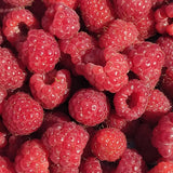 2 Red Raspberry Live Plants, Edible Berry Plant, 4-6 Inch Tall, 4 Inch Pot