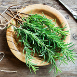 Live Rosemary Plant, Indoor Outdoor Herb Plant, 4-6 Inch Tall, 4 Inch Pot