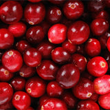 Cranberry Hibiscus Flower Live Plant, Outdoor Garden Plant, 3-5 Inch Tall