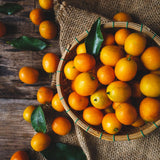 Orange Mandarin Live Tree, Hardy Garden Plant, 1 Gallon Pot