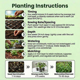 500 Basil Seeds for Planting, Container Garden Seeds
