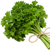 2 Parsley Plants Live, Edible Fragrant Herb Plant, 4-7 Inch Tall