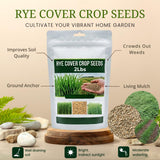2 Lb Rye Seeds to Plant, High Yield Garden Seeds