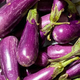 Long Purple Eggplant Plant Live, 8 Inch Tall, 4 Inch Pot