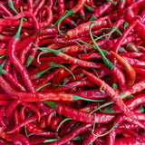Pepper Plant Live, Chili Plant, 6-9 Inch Tall, 4 Inch Pot
