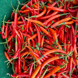 Hot Red Pepper Plant Live 4" Pot, 3–6" Tall, 2 Plant Per Pot
