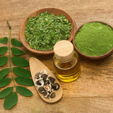 100+ Moringa Oleifera Drumstick Seeds