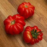 1000 Beefsteak Tomato Seeds for Planting, Container Garden Seeds