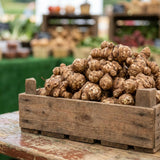 8 oz Sunchoke Tubers, Jerusalem Artichoke, Edible Garden