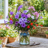 6 Mixed Petunia Live Plants, Hardy Garden Plant, 5-7 Inch Tall