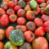 1000 Beefsteak Tomato Seeds for Planting, Container Garden Seeds