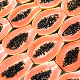 Live Papaya Fruit Tree, Tropical Plant 5-10 Inches Tall In A 4 Inch Pot