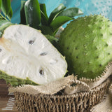 Live Soursop Guanabana Fruit Tree, Well Rooted Plant, 6-10 Inches Tall