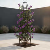 Live Purple Rose Bush, 5-10 Inch Heirloom Starter Plant For Garden Planting