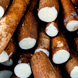 Tropical Outdoor Sweet Yuca Cassava Live Plant, 6-15 Inch Garden Vegetable