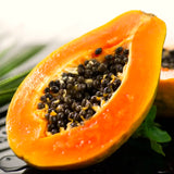 Live Sweet Papaya Fruit Tree, 5-10 Inches Tall In A 4-Inch Nursery Pot
