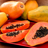 Live Papaya Tree In 4 Inch Pot, 5-10 Inch Tropical Fruit Starter Plant