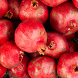 2 Live Wonderful Pomegranate Fruit Trees, Well-Rooted, 10-15 Inches Tall
