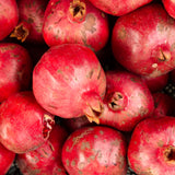 2 Live Pomegranate Fruit Trees, Well-Rooted Plants, 10 To 15 Inches Tall
