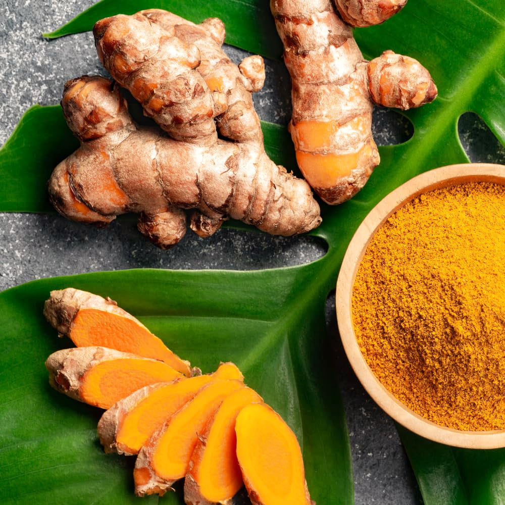 3 Live Turmeric Plants, Culinary Ginger Curcuma, 5-9 Inch Tall For Growing