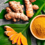 3 Live Turmeric Plants, Culinary Ginger Curcuma, 5-9 Inch Tall For Growing