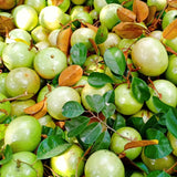 Live Star Apple Caimito Fruit Tree, 6-10 Inches Tall, Half Gallon Potted